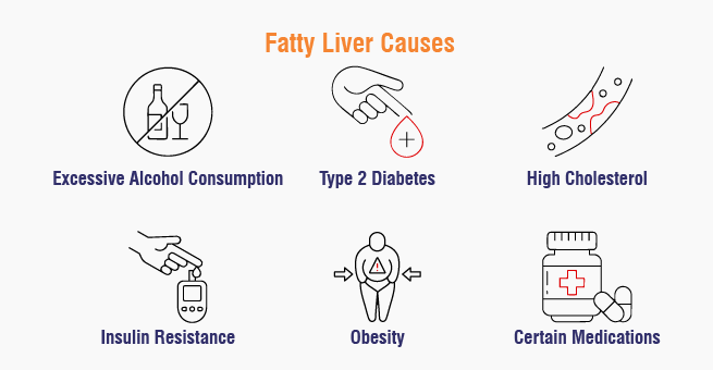 Fatty liver causes