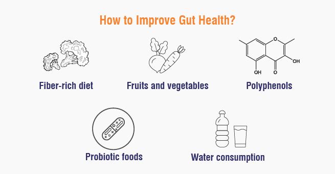  Improve Gut Health