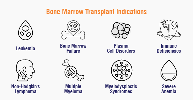 Bone Marrow Transplant Indications