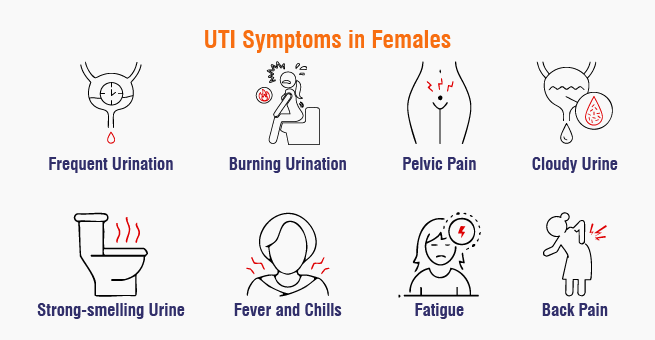 UTI Symptoms in Females